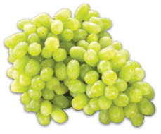 EXTRA LARGE RED, GREEN OR BLACK SEEDLESS GRAPES