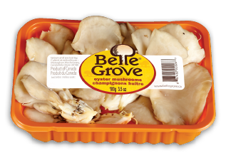 BELLE GROVE OYSTER MUSHROOMS OR BUTTON MUSHROOMS