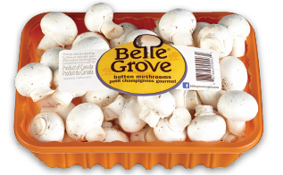 BELLE GROVE OYSTER MUSHROOMS OR BUTTON MUSHROOMS