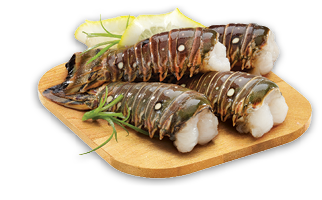 FRESH ATLANTIC SALMON OR ICELANDIC COD PORTIONS OR ROCK LOBSTER TAILS