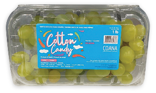 BLUEBERRIES OR COTTON CANDY GRAPES