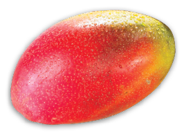AVOCADOS OR RED MANGOES