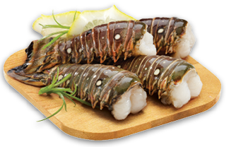 ROCK LOBSTER TAILS OR OCEAN JEWEL LARGE COOKED OR RAW SHRIMP