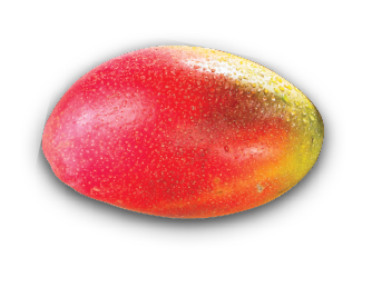 RED MANGOES