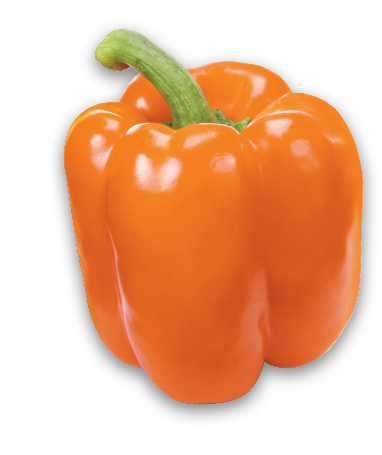LARGE RED, ORANGE OR YELLOW SWEET PEPPERS
