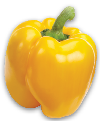LARGE RED, ORANGE OR YELLOW SWEET PEPPERS