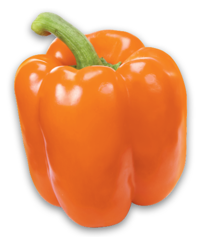 ASSORTED COLOUR SWEET PEPPERS 3 PK