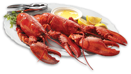 FRESH EAST COAST COOKED LOBSTERS OR COHO SALMON FILLETS