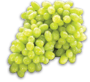 LARGE RED, GREEN OR BLACK SEEDLESS GRAPES