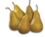 LARGE BARTLETT OR RED STARKRIMSON PEARS OR LARGE BOSC PEARS