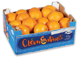 CLEMENTINES