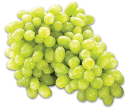 EXTRA LARGE GREEN OR RED SEEDLESS GRAPES